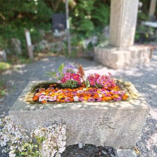 A Shrine Next to Izuruhara Benten Pond.