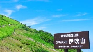 【名古屋発】伊吹山と松茸ランチ、味覚で日本の秋を先取り。