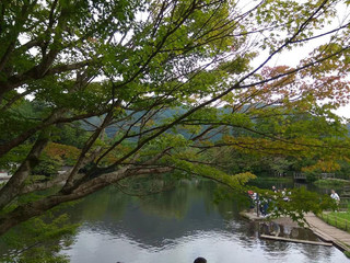 Jinlin Lake - A small but beautiful dream lake