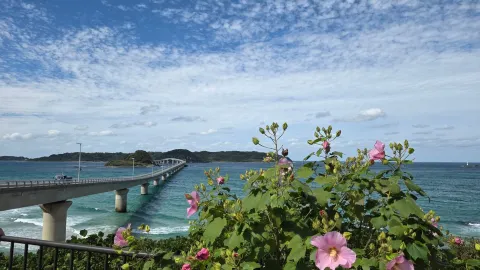 A Trip to Yamaguchi. — traveler post in Mine