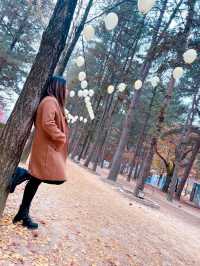 AUTUMN IN NAMI ISLAND