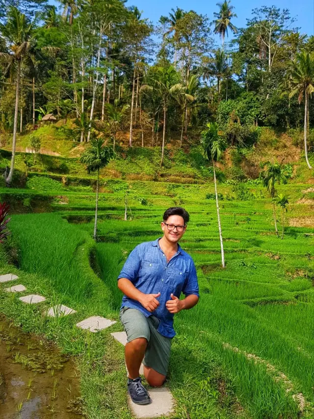 Bali rice terraces 