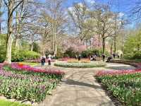 The Most Beautiful Spring Garden in the World