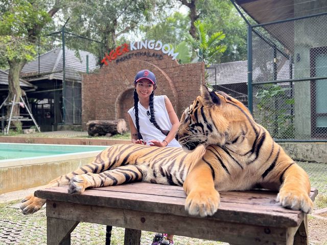 Tiger kingdom phuket 