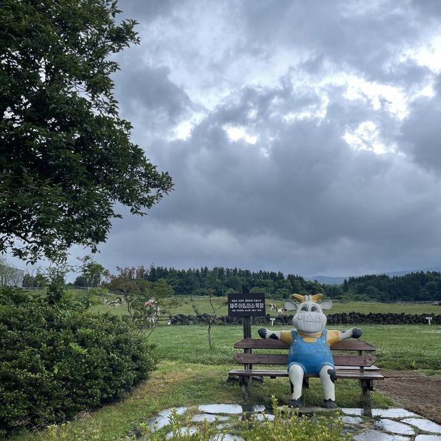 제주도 여행 코스추천 - 아침미소목장🐮