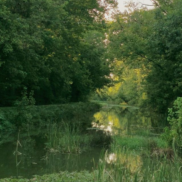 Peaceful Washington DC