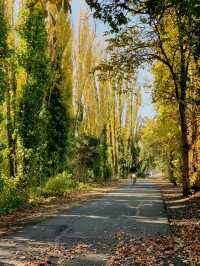 Riding on a Mountain Bike to explore Petaluma