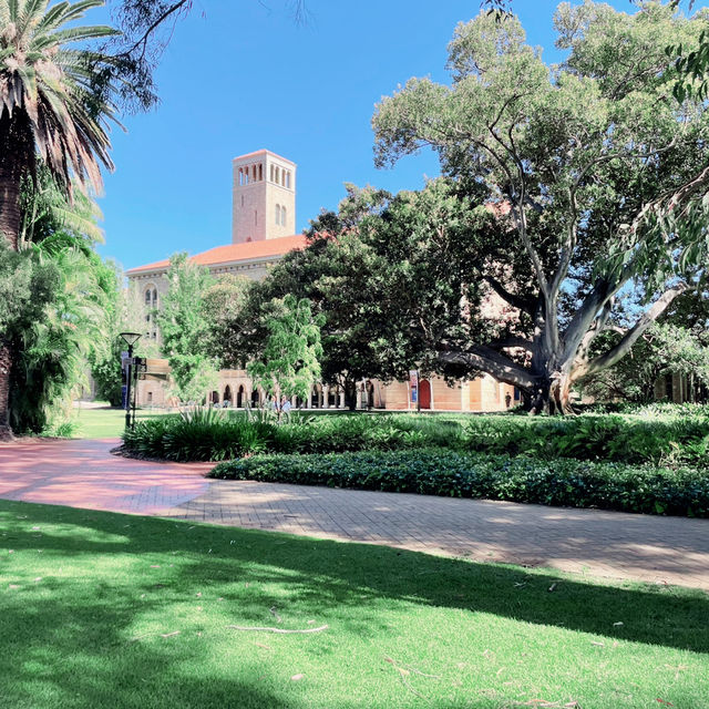 University of Westerm Australia