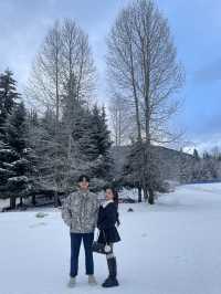 Whistler vibe