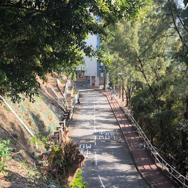 Visiting The Chinese University of Hong Kong
