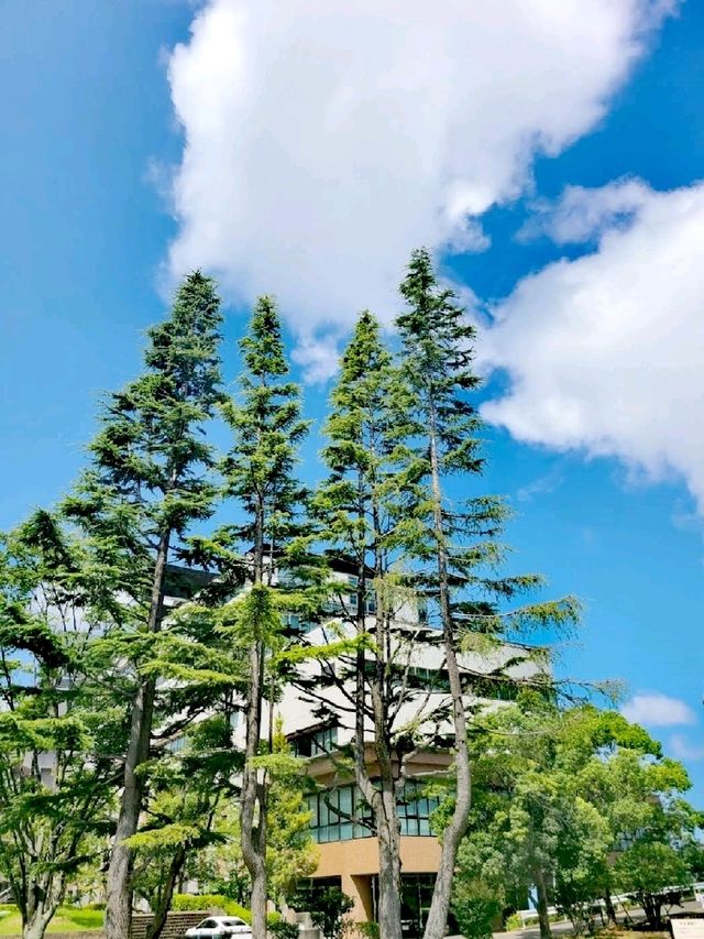 美麗的福岡大學