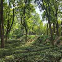 Tiger Hill the most beautiful Scenic spot in Suzhou