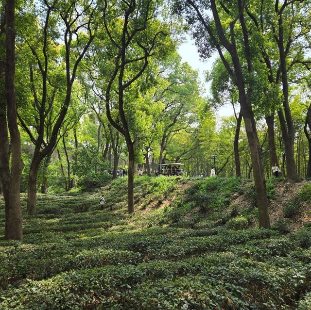 Tiger Hill the most beautiful Scenic spot in Suzhou