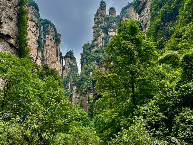 Exploring the Avatar World ⛰️🌏