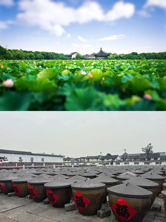 ✨ Shaoxing Attractions Guide: Exploring the Ancient City's Charm