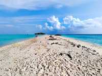 Amazing Timba Timba Island