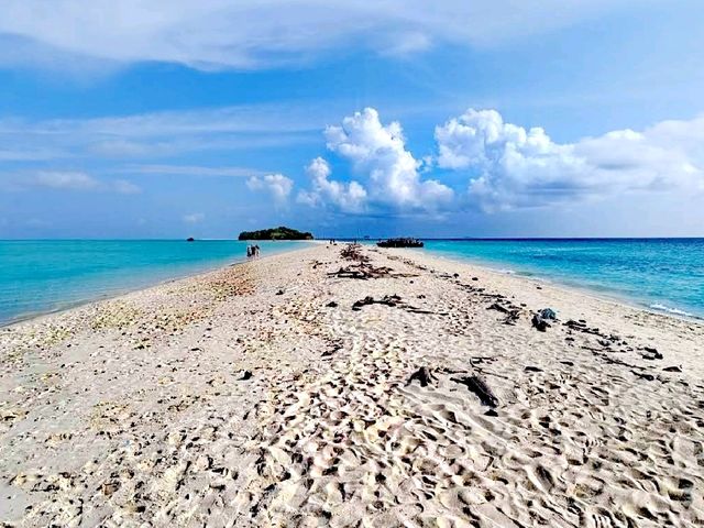 Amazing Timba Timba Island
