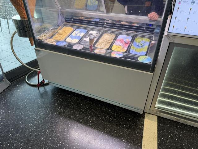 Shanghai Astronomy Museum: A Cosmic Journey in Lingang