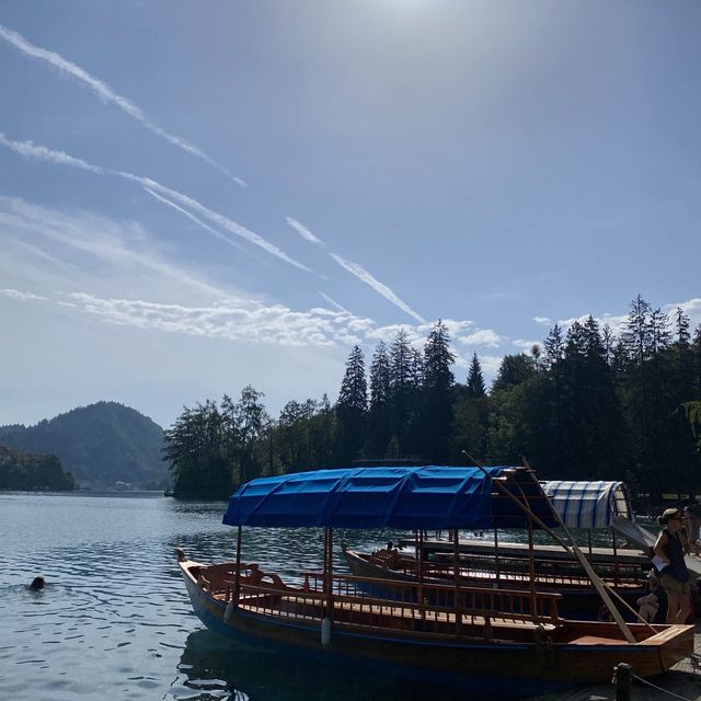 🇸🇮Most Beautiful Lake in Slovenia : Lake Bled🏝