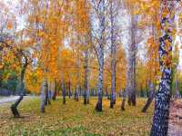 Beautiful autumn scene at Park Kyoto 🗺️