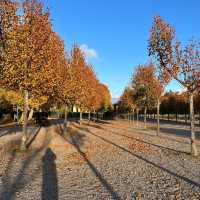 Autumn at Drottningholm Palace 🗺️