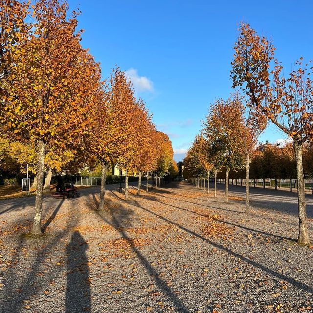 Autumn at Drottningholm Palace 🗺️