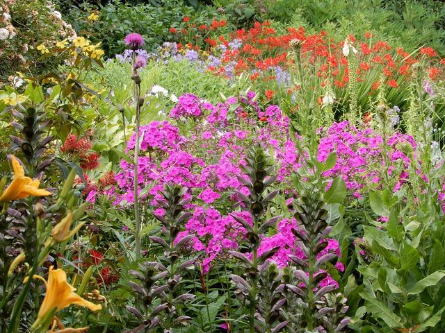 Manchester botanical gardens is so peaceful