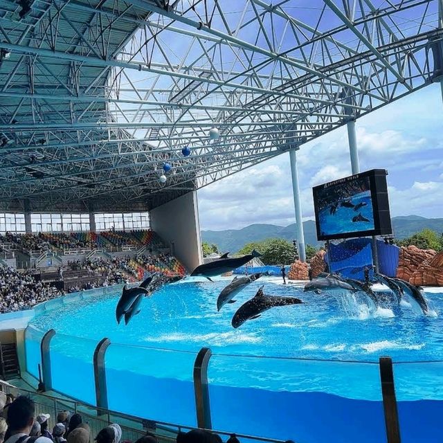 🎠動物遊樂園🦁冒險大世界🎡棲息著160種動物🐼