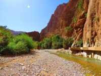 Magical Marrakech: The Heart of Morocco
