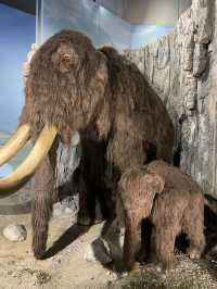 Have a roar-some time, dinosaurs at the museum of Wales
