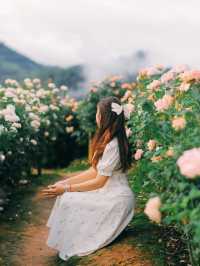 Royal Rose Garden