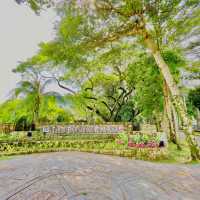 The Urban Rainforest Escape in Penang