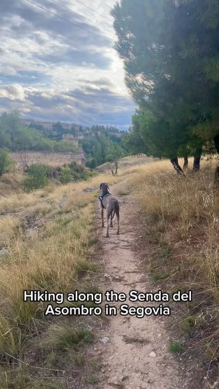 A Beautiful Hidden Gem in Segovia 🌲🏞️