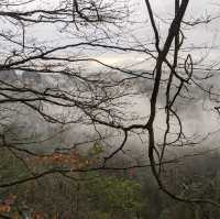 Stunning views from the top