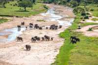 7 Days Wildebeest Migration 