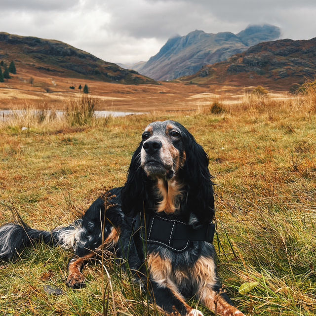 Blea Tarn Beauty