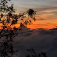 Do Ijen and Bromo crater worth to visit? 