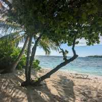 Ecoboo Maldives - perfect honeymoon experience 