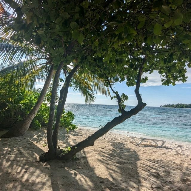 Ecoboo Maldives - perfect honeymoon experience 