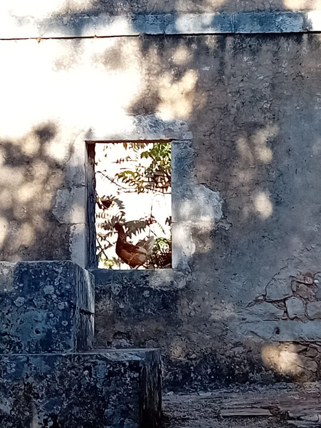 One of the ghost villages on Kefalonia 