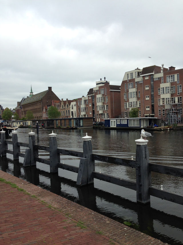Leiden is a charming Dutch town