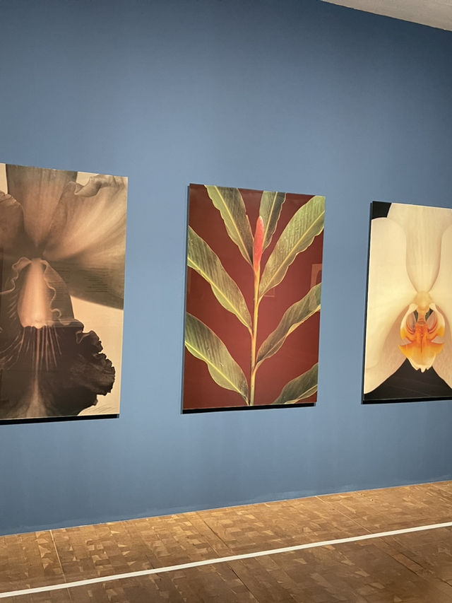 The best place in Seoul where world art exhibitions are held
