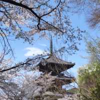 An ancient temple that seals eye diseases, which is famous for "Tsubosaka Reigenki"