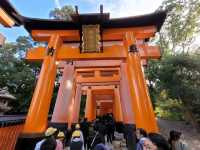Beautiful Japan in the autumn.