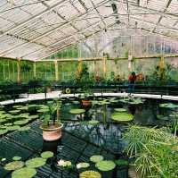 🌿 Kew Gardens, London: Nature’s Crown Jewel in the City