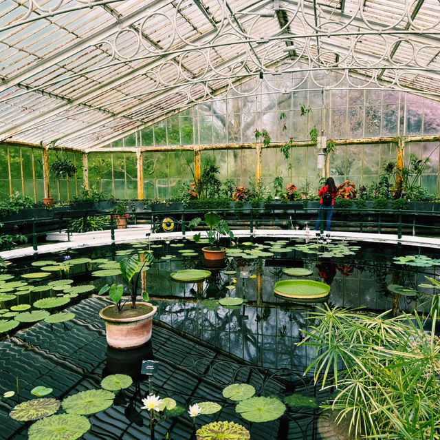 🌿 Kew Gardens, London: Nature’s Crown Jewel in the City