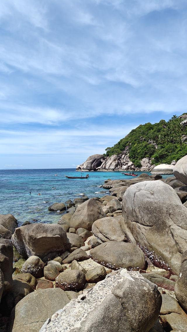 Snorkeling at Shark Bay – Koh Tao’s Best Spot to See Blacktip Reef Sharks 🦈🌴