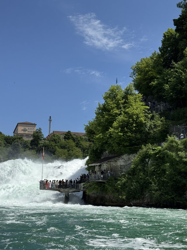 Boat tour at Rheinfalls