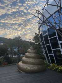 A Unique Attraction in Suwon! 🚽✨ Toilet Park