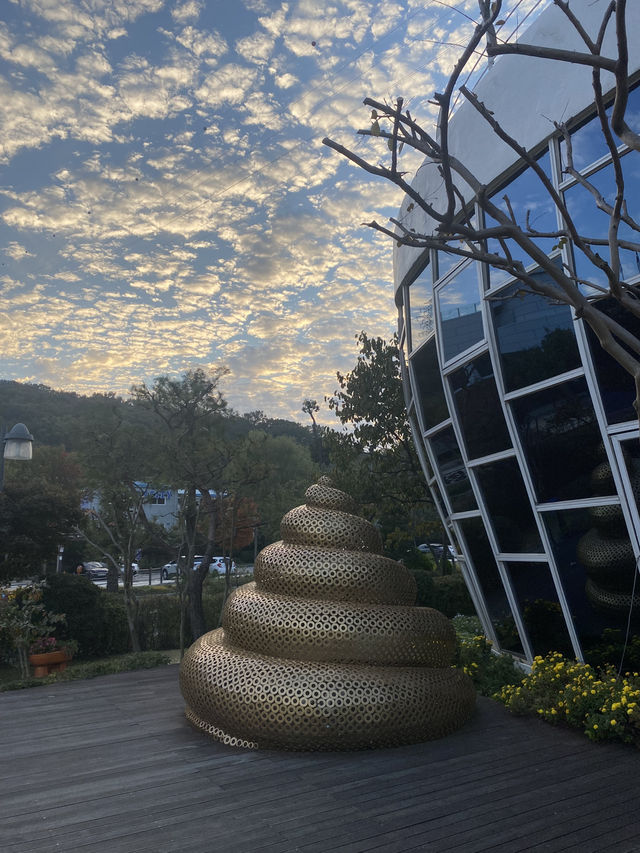 A Unique Attraction in Suwon! 🚽✨ Toilet Park
